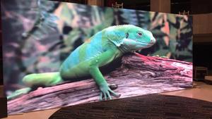 Reiss Led Stage P3.91 P4.81 HD 4K Pantalla LED a todo Color para concierto Video Alquiler Unfixel o <span class=keywords><strong>Fixel</strong></span> Pantalla LED - Product Image 5