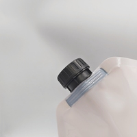 Emballage de poche à boisson en PE de qualité alimentaire avec logo personnalisé, bec verseur, résistant à la chaleur, étanche, pour le remplissage d'eau