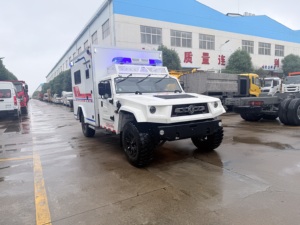 Nouvelle <span class=keywords><strong>ambulance</strong></span> conteneurisée Dongfeng Mengshi <span class=keywords><strong>44</strong></span> Diesel Automatique (EURO 5) - Product Image 1