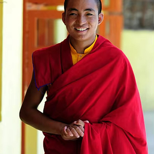 Explora la Tela Tufting con Diseño de Monjes Budistas en Vista Cercana: Textura Lujosa para Diseñadores - Product Image 1