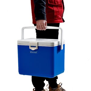 Nevera Portátil de Plástico de 15L con Capacidad para 24 Latas, para Bebidas, Cerveza, <span class=keywords><strong>Insulina</strong></span>, Mantiene de 2-8 Grados ℃   Nevera Portátil para Viajes - Product Image 4