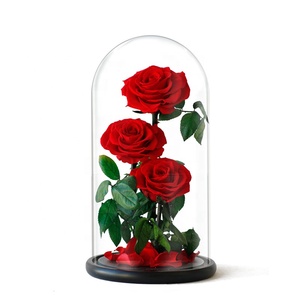 Forever Rose de gran tamaño en cúpula de cristal <span class=keywords><strong>para</strong></span> regalos de cumpleaños perfectos <span class=keywords><strong>para</strong></span> mujeres y regalo del Día DE LA Madre - Product Image 1