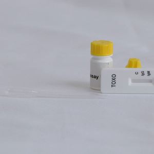 수의학 칼라인 고양이 혈액 검사 톡소 플라스마 IgG/IgM 항체 신속 검사 키트 (TOXO Ab) - Product Image 3