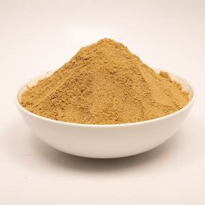 DALAI IMPEX Poudre de coriandre biologique naturelle de couleur brun clair pour usage culinaire, longue durée de conservation, origine Orissa - Product Image 2