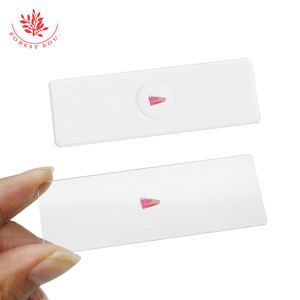 Hochschul bildung Herz muskel der menschlichen Sektion Histologie Folien - Product Image 4