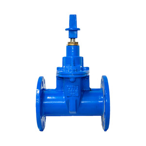 Válvula de Compuerta de Cuña de Hierro Fundido con Vástago Ascendente de Acero Inoxidable WCB PN16 DN15 con Asiento Metálico para Alta Temperatura 2025 - Product Image 2