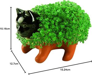 Chia Pet Kitten Planter Kit Nouveauté Cadeau pour <span class=keywords><strong>Jardin</strong></span> ou Maison <span class=keywords><strong>Poterie</strong></span> Décorative Facile à Faire Conception Artificielle pour Plantation Amusante - Product Image 4