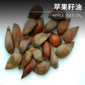 100% huile de support de graines de pomme naturelle pure pressée à froid <span class=keywords><strong>grossiste</strong></span> d'huile de graines de pomme avec personnaliser les fabricants d'huile de graines de pomme - Product Image 4