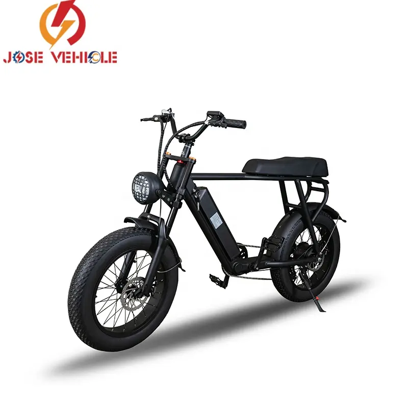 Bicicleta eléctrica de asiento largo para 2 personas, bicicleta eléctrica de litio de 1000w para adultos