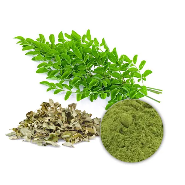 Extracto de hoja Natural, polvo de hoja de Moringa de alta calidad