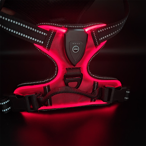 Gilet lumineux LED pour chien, rechargeable par USB, réfléchissant, pour extérieur - Product Image 3