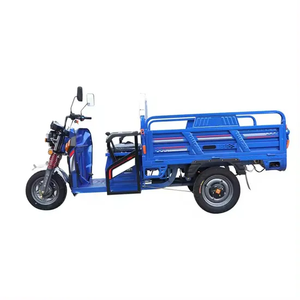 Factory Price Electric <b>Trike</b> for Efficient Urban Mobility and Cargo Carrying Open Body Type <b>Motor</b> <b>Trike</b> - Product Image 3