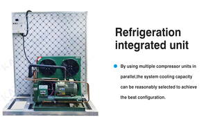 Groothandel 10 & 20 Feet Walking Koelkast Container Automatische Motor Voor Vlees & Plantaardige Koude Opslagruimte - Product Image 5