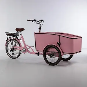 2024铝制时尚设计菲律宾新款三轮车踏板车定制bakfiets电动自行车价格巴基斯坦货物