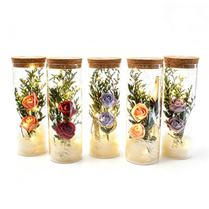 Regalo de San Valentín <span class=keywords><strong>AIDA</strong></span>, Botella de Vidrio con Rosas para Enamorados, Regalo Sorpresa de Cumpleaños para Esposa, Novia, Fiesta, LED Romántico de Ensueño - Product Image 6