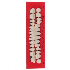 Prótesis Dentales Prácticas para Laboratorio Dental o Uso Educativo - Product Image 5