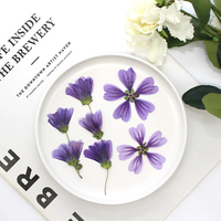 Tanaman Alami Bunga Kering, Kuncup Bunga Hollyhock Ungu, Spesimen Tanaman Bingkai Foto Penanda Buku Lampu Meja DIY Resin Drops