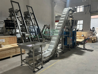 Peseuse combinée entièrement automatique à 14 têtes, thé, arachides, noix, remplissage de haricots au chocolat, machine d'emballage avec pondération