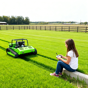 Tondeuse à gazon RC à chenilles de 1000 mm à vente chaude avec moteur à essence Park Farm - Product Image 2