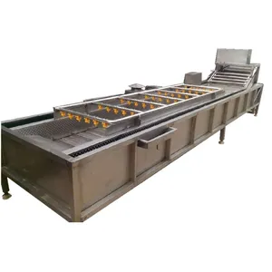 Vers Fruit Mango Appel Reinigingsmachine Luchtbel Groentewasmachine Bubbel Wasmachine