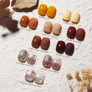 BeiEn OEM & ODM automne chaud Caramel Collection UV/LED vernis à ongles Gel givré 2025 nouveau rouge brun automne petit ensemble platine paillettes - Product Image 4