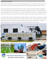 Adhésif époxy bicomposant Hanepoxy, usage général, construction, transport, travail du bois, emballage - Vente en gros, sur mesure