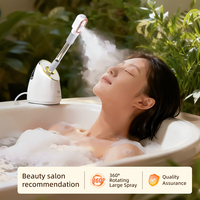 Vaporisateur facial électrique nano-ionique pour salon de beauté et usage domestique, brume chaude, pulvérisation d'huiles essentielles, tube long réglable