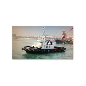 Grandsea 24m 900HP Acciaio Inox ASD Harbour Pusher Rimorchiatore per la vendita