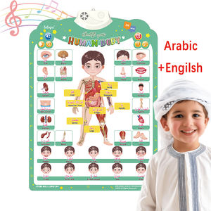 Affiche sonore de corps électronique <span class=keywords><strong>arabe</strong></span>-anglais bilingue tableau mural interactif <span class=keywords><strong>bases</strong></span> jouets éducatifs pour enfants - Product Image 1