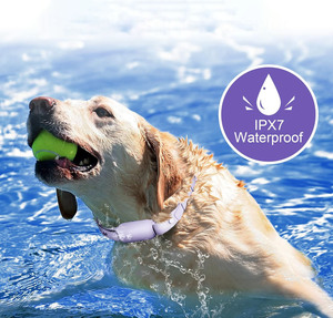 <span class=keywords><strong>Collar</strong></span> de entrenamiento de perro mascota eléctrico con control remoto de vibración de choque electrónico impermeable y recargable hecho en China - Product Image 3