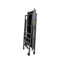 Mini tour d'échafaudage en alliage d'aluminium durable haute performance pliable pour une application sur scène