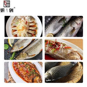 Machine de traitement du poisson à haute efficacité, machine automatique d'écaillage du poisson, écaleur de poisson, nettoyeur d'écailler de poisson - Product Image 4