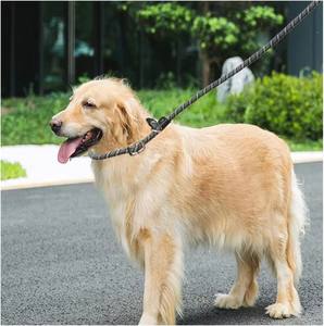Guinzaglio per Cani Lungo 10FT / 20FT, Corda Riflettente in Nylon Spesso 3/8\", Guinzaglio Anti-Soffocamento per Addestramento di Cani Medi e Grandi - Product Image 4