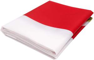 Наружные полиэстеровые флаги Коста-Рики 3x5 футов, с вырезкой по контуру, печатью и возможностью нанесения логотипа на заказ, для декорации - Product Image 5