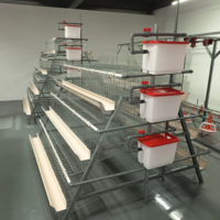 Cage à poules pondeuses de type A efficace, équipement de cage en batterie galvanisée pour l'élevage commercial moderne de volailles pondeuses