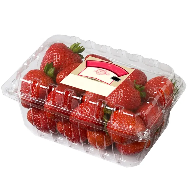 Contenedores desechables de plástico para embalaje de alimentos, caja de embalaje de plástico para fruta Punnet y fresas