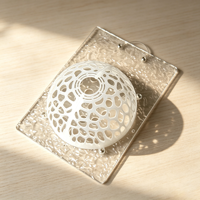 Jardinière murale flottante en plastique pour fougère cornée et orchidée, diamètre 20 cm, avec couvercle pour repiquage facile