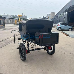 Usine vendant des buggies à deux roues noirs rétro, chariot de tourisme dessiné à la main, transport spécial. - Product Image 4
