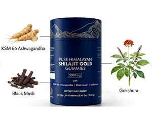 Gomme di Shilajit Puro dell'Himalaya Gold 3000mg |   con KSM-66 Ashwagandha, Gokshura |   Integratore Alimentare per l'Energia - Product Image 3