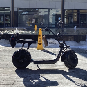 Scooter Citycoco H4 <span class=keywords><strong>Nouveau</strong></span> Modèle Vélo Électrique Vélo de Ville Électrique E-Bike avec Batterie Amovible - Product Image 6