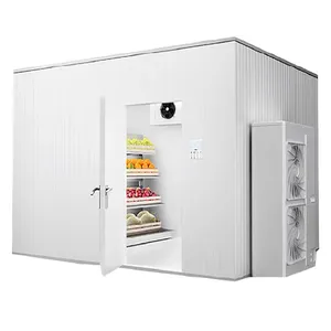 Sala fria, sala de armazenamento de freezer com unidade de refrigeração do compressor para carne e frutas