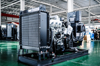 Générateur diesel silencieux 50 kVA, groupe électrogène diesel à faible bruit 400 V 230 V 50 Hz avec panneau ATS AMF pour flottes de location en République tchèque