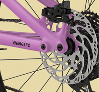 Puissance de vélo électrique à double moteur de vélo de montagne électrique direct d'usine, poignée de vélo électrique à gros pneus