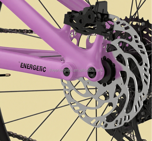 จักรยานไฟฟ้าภูเขาจากโรงงานโดยตรง มอเตอร์คู่ กำลังสูง ยางใหญ่ จับกระชับมือ - Product Image 2