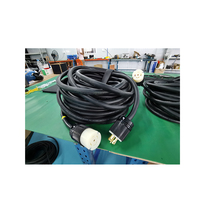 Câbles d'extension d'alimentation L21-30 220V 30 Ampères avec connecteur mâle et femelle