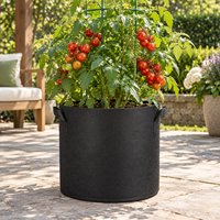 Sac de culture robuste en tissu non tissé avec poignées, 10 gallons, pour la plantation de légumes, pot de jardinage à élagage aérien pour la culture des tomates