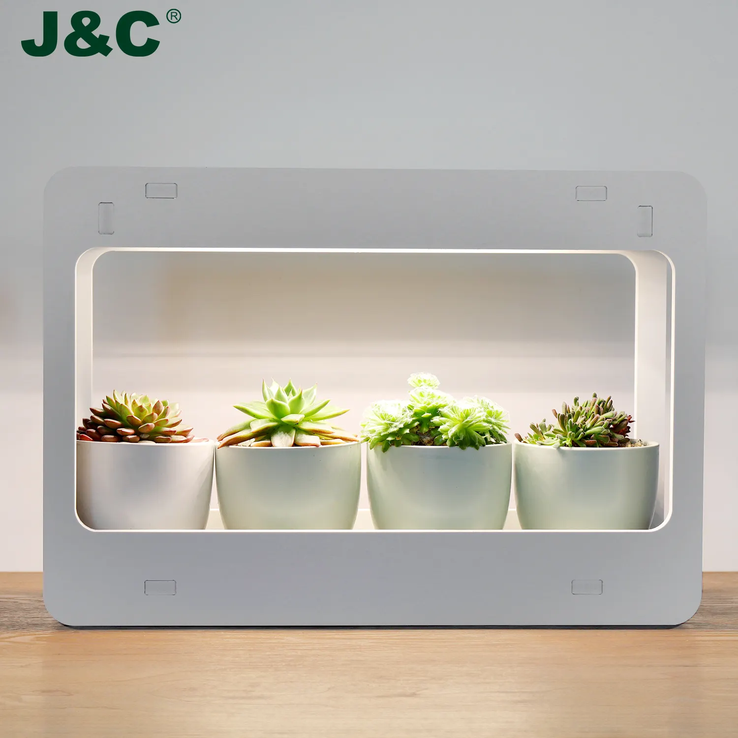 LED Plant grow light indoor garden with Timer DIY decoration small plant grow light indoor flower garden herb growing system