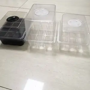 New Plant Propagation And Breathable Seedling Tray Vacuum Forming Machine