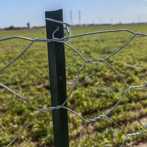 YC poteau de clôture en y solide poteau de clôture <span class=keywords><strong>agricole</strong></span> de haute qualité facile à installer poteau en y en acier de clôture de ferme/<span class=keywords><strong>piquet</strong></span> en étoile - Product Image 6