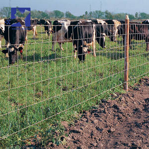 Clôture en grillage métallique galvanisé pour bétail, chevaux, chèvres, ferme, champ, bétail - Product Image 1